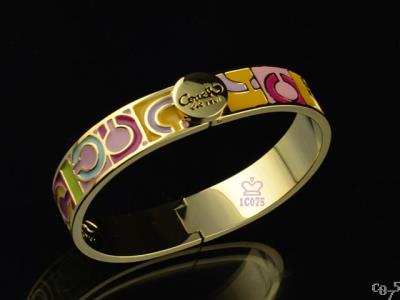 Coach Bracelet-112